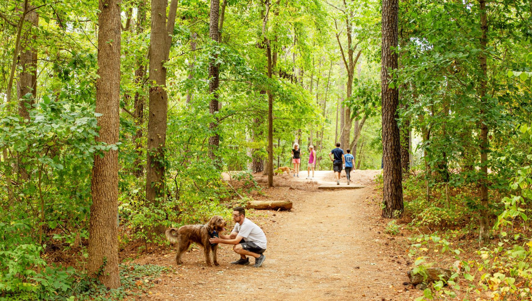 A Group Of People Walking On A Trail In The Woods