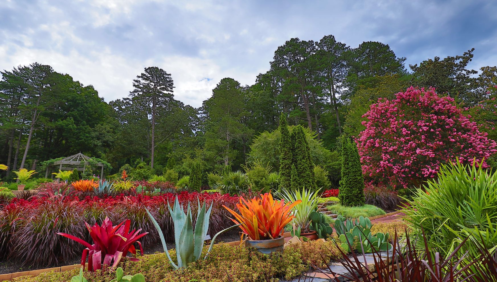 A Garden With Colorful Flowers
